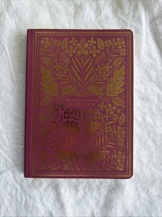 ESV Illuminated Scripture Journal: Matthew by ESV Bibles Paperback NEW