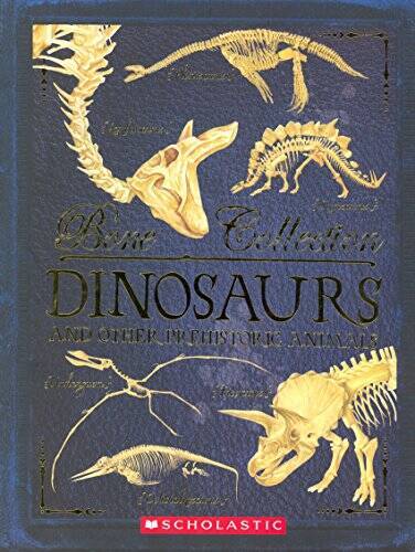 Bone Collection: Dinosaurs and Other Prehistoric Animals – Paperback – GOOD