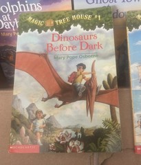 The Magic Treehouse books lot of 17