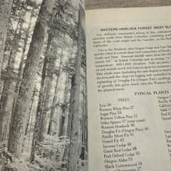 Lot 4 Books Wildflowers & Plants By Different Authors