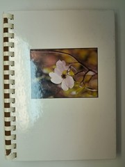 Bethel’s Bounty Cookbook Bethel Presbyterian Church Davidson North Carolina NC