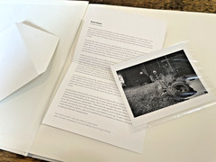 South Central by Mark Steinmetz **Signed with Small Print**