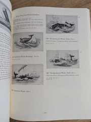 SIGNED Whaling Prints HC Book Francis B Lothrop Collection Elizabeth Ingalls