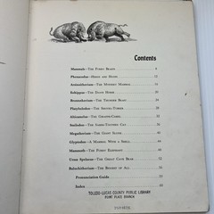 Album of Prehistoric Animals by Tom McGowen (1975) Vintage, Dinosaurs, Education
