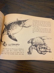 1975 Digging for Dinosaurs PB First Edition