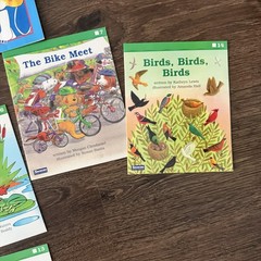 46 Early Reader Phonics Books Lot Sharks Scholastic Saxon Homeschool K-1