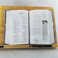 Women’s Devotional Bible by Zondervan Staff (2012, Blue Leather, Special)