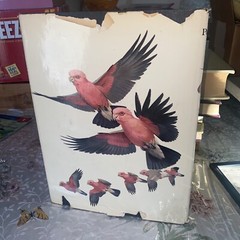 THE WORLD OF BIRDS, J. Fisher, Roger Tory Peterson, 1st Ed, 1964, HCDJ