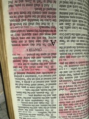 Nelson Regency Holy Bible King James Version Giant Print Red Letter 883C