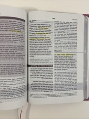The Everyday Life Bible Fashion Edition Pink Soft Leather Cover 2009 *READ, SEE*