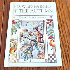 Flower Fairies of the Autumn Cicely Mary Barker 4×6″ Beautiful Art Color Plates