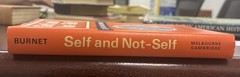 Self and Not-Self