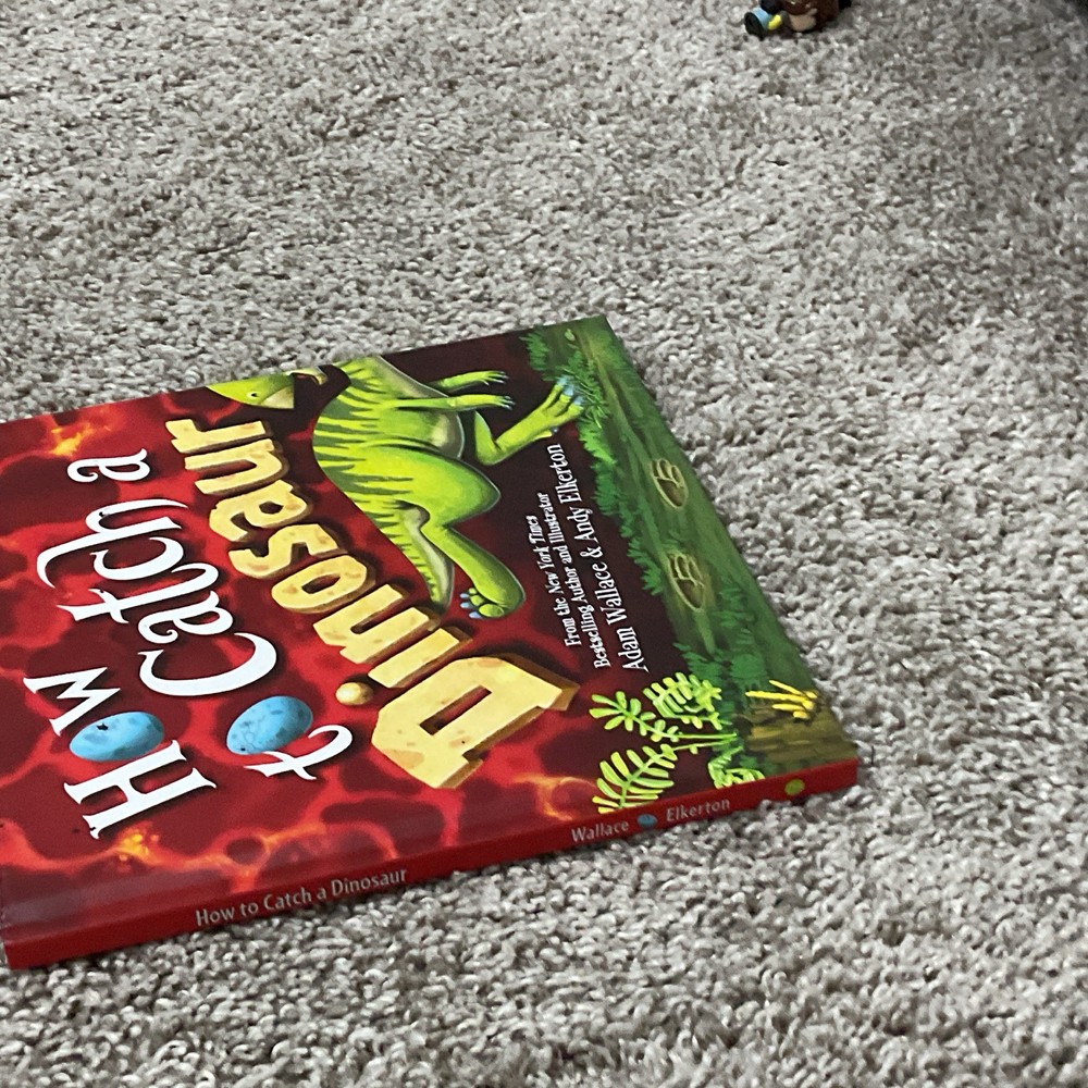 Adam Wallace How to Catch a Dinosaur Hardcover Illustrated Picture Book Ages 4-8