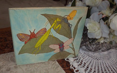 Bugs : Poems By Mary Ann Hoberman 1976 HC 1st ED in Dust Jacket RARE SIGNED!