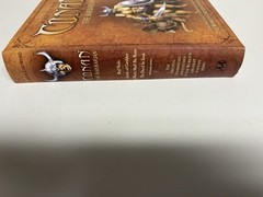 Conan The Barbarian Unabridged Adventures, Robert E Howard, 512 Pages Beautiful!