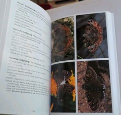 SIGNED by AUTHORS! Butterflies of Arizona: A Photographic Guide