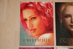 EXOTIQUE Band 1,2,4,5,6,7 – The World’s Most Beautiful CG Characters (Englisch)