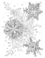 SnowFlakes are Falling Coloring Book All Ages 108 Pages 8.5 x 11 for All Ages