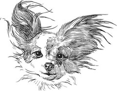 Dogs coloring book for all ages Pets Series 108 Pages 8.5 x 11 for All Ages