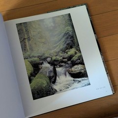 Huang Youwei Watercolor Art Collection Book 138 Pages Landscape Paintings 2011
