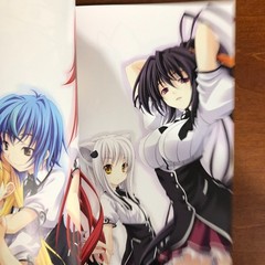 High School DxD Art Book Miyama Zero Art Works Illustration