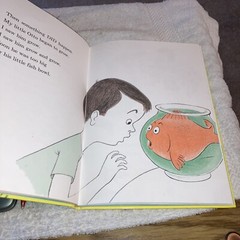 A Fish out of Water, Helen Palmer Seuss Beginner Series HC 1998 9-1/4″T
