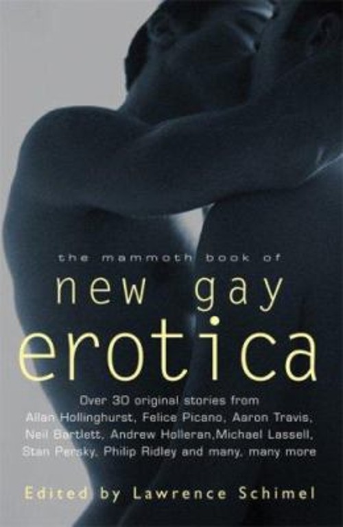 The Mammoth Book of New Gay Erotica Perfect