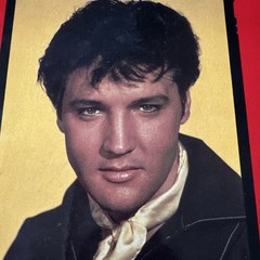 „Elvis His Life From A to Z” Hardcover 620 pages By Fred Worth Steve Tamerius