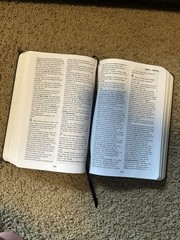 Bynv: Deluxe Cover by Lew White Leather Style Cover (some Pages Are Highlighted)
