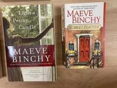Lot of 12 MAEVE BINCHY Firefly Whitethorn Evening Lilac Chesnut Quentins Scarlet