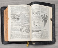 National KJV Bible 1939 Master Guide; Black GENUINE Leather; Indexed; Red Letter