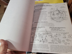 THE ANATOMY COLORING BOOK Kapit Medical Medicine Nurse Nursing Reference