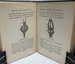 Brain and Personality by W. Hanna Thomson, 1916 Dodd, Mead & Company