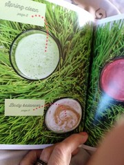 The Juice Bar Kit Juicing For Beginners Health Boosting Book + 14oz Bottle