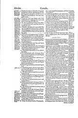 1560 &1599 Geneva Bible-Reformation Scripture CommentaryJohn Calvin & Beza-on CD