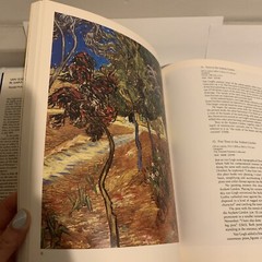 Van Gogh in Saint-Remy and Auvers Hardcover Art Book