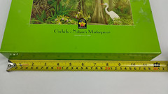 The 19th World Orchid Conference in Miami FL – 2008 (Hardcover Book) 504 Pages