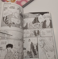 Playful Kiss Volume 9-11 By Kaoru Tada – Korean Romance Graphic Novel Set