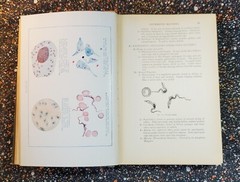 Medicine And The Allied Sciences, Samuel Fomon, Volume 1, 1919, Hardcover