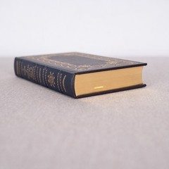 A System of Penal Law for the State of Louisiana Legal Classics Library Leather