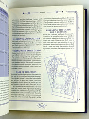 THE BOOK OF DIVINATION Predicting Future Michael Johnstone Deluxe Gilded Edges