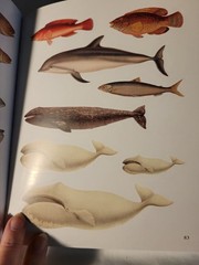 Seashore Sticker Anthology : with more than 1000 Vintage Drawings/Stickers