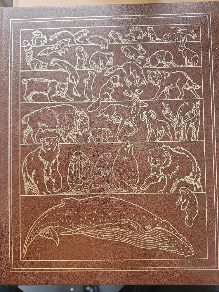 Wild Animals of North America by U. S. National Geographic Society…gorgeous
