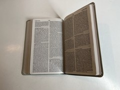 ESV Large Print Value Thinline Bible (Trutone, River Stone, Branch Design)