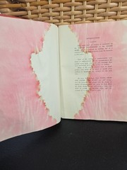 Vintage 1945 Salem Cookbook Recipes Pages From The Old Winston Salem NC Book