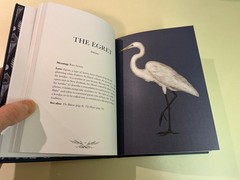 Ornithography Illustrated Guide to Bird Lore & Symbolism, Jessica Roux Hardcover