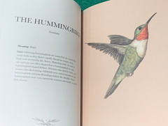 Ornithography by Jessica Roux 1st/1st HC 2024 Birds