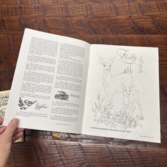 Character Sketches Coloring Book From the Pages of Scripture, Volume II unused