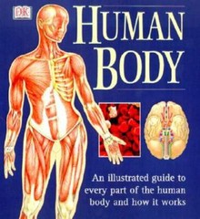 Human Body: An Illustrated Guide to Every Part of the Human Body and How – GOOD
