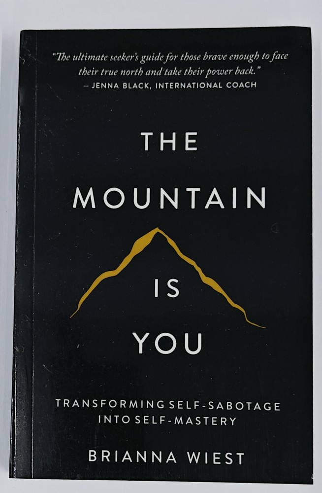 THE MOUNTAIN IS YOU BY BRIANNA WIEST